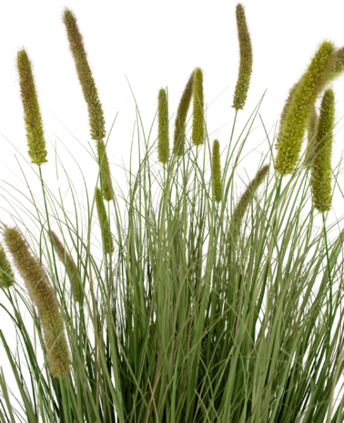 Greenmoods Kunstig Kattehale Gress 150cm brannhemmende