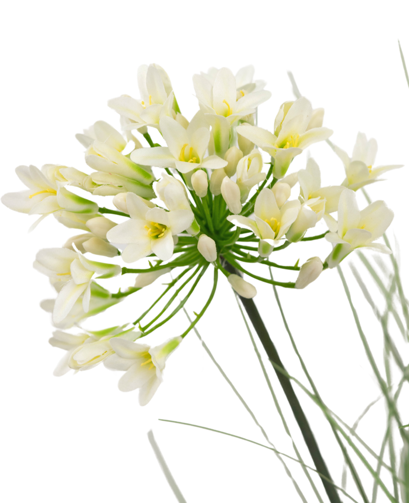 Greenmoods Kunstig Agapanthusgress Hvit 90 cm brannhemmende