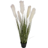 Greenmoods Kunstig Pampas Gress Hvit 120cm