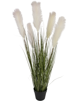 Greenmoods Kunstig Pampas Gress Hvit 120cm