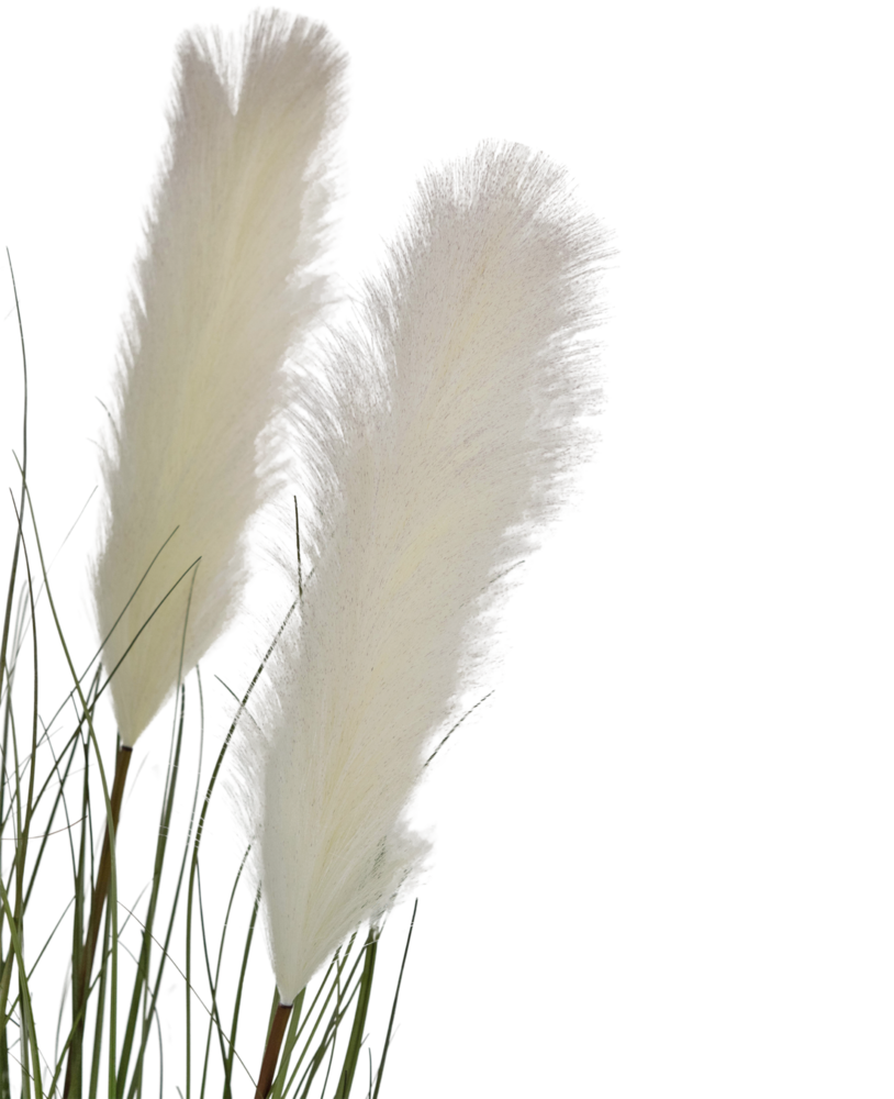 Greenmoods Kunstig Pampas Gress Hvit 120cm Brannsikker