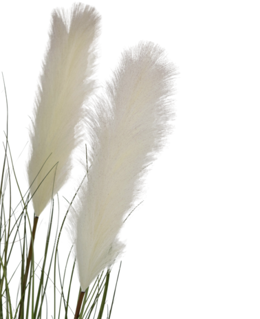 Greenmoods Kunstig Pampas Gress Hvit 120cm Brannsikker