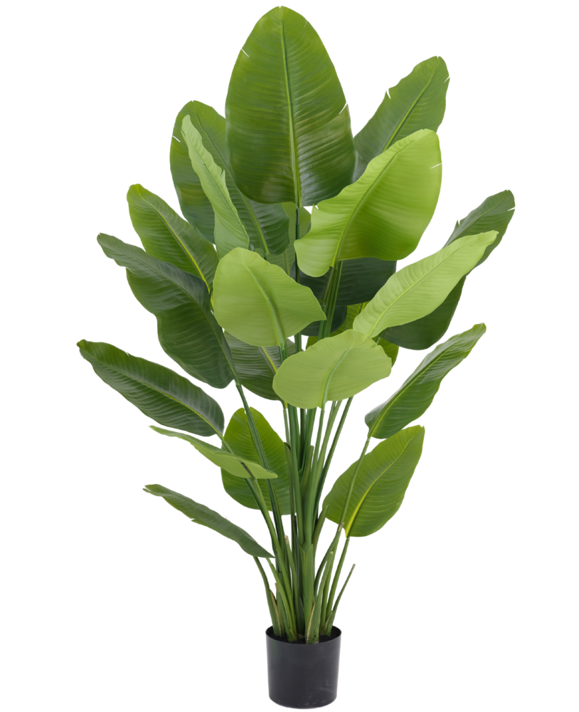 Greenmoods Kunstig plante Strelitzia Real Touch Deluxe 180 cm