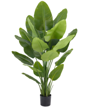 Greenmoods Kunstig plante Strelitzia Real Touch Deluxe 180 cm