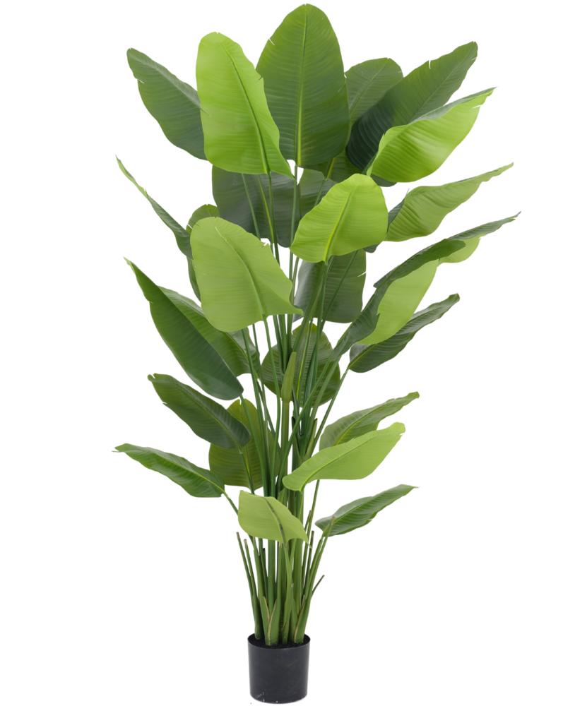 Greenmoods Kunstig plante Strelitzia Real Touch Deluxe 210 cm