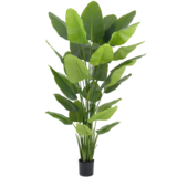 Greenmoods Kunstig plante Strelitzia Real Touch Deluxe 210 cm