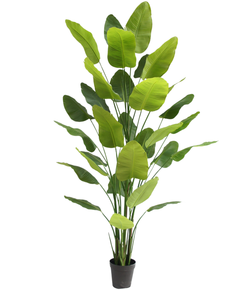 Greenmoods Kunstig plante Strelitzia Real Touch Deluxe 300 cm