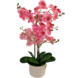 Greenmoods Kunstig Orkidé Real Touch Rosa 68 cm