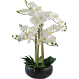 Greenmoods Kunstig Praktfull Orkidé Real Touch i Sort Potte 65cm