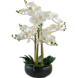 Greenmoods Kunstig Praktfull Orkidé Real Touch i Sort Potte 65cm