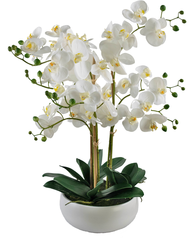 Greenmoods Kunstig Praktfull Orkidé Real Touch i Hvit potte 65cm