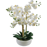 Greenmoods Kunstig Praktfull Orkidé Real Touch i Hvit potte 65cm