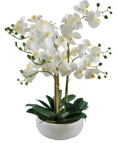 Greenmoods Kunstig Praktfull Orkidé Real Touch i Hvit potte 65cm