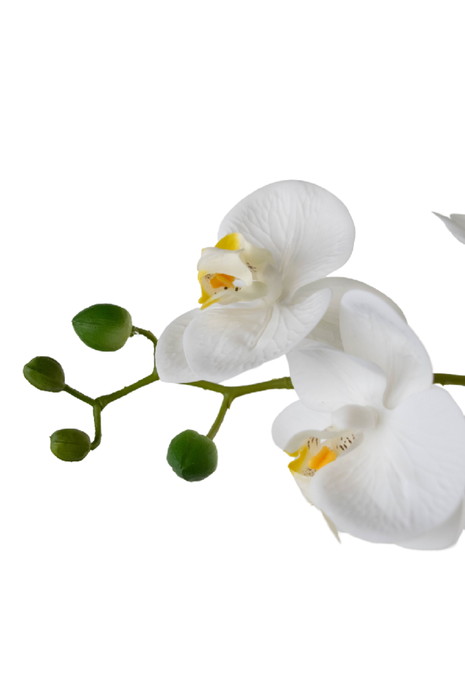 Greenmoods Kunstig Praktfull Orkidé Real Touch i Hvit potte 65cm