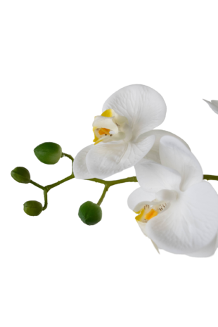 Greenmoods Kunstig Praktfull Orkidé Real Touch i Hvit potte 65cm