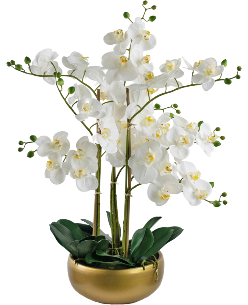 Greenmoods Kunstig Praktfull Orkidé Real Touch i Gullpotte 65cm