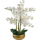 Greenmoods Kunstig Praktfull Orkidé Real Touch i Gullpotte 65cm