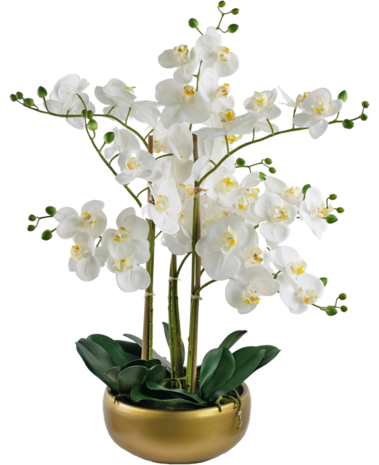 Greenmoods Kunstig Praktfull Orkidé Real Touch i Gullpotte 65cm