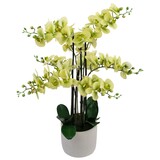 Greenmoods Kunstig Orkidé Real Touch Grønn 80cm