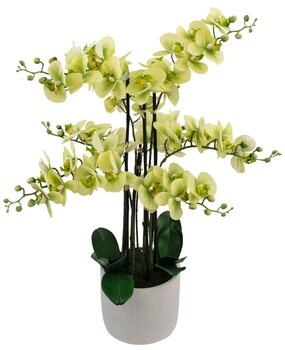 Greenmoods Kunstig Orkidé Real Touch Grønn 80cm Greenmoods Kunstig Orkidé Real Touch Grønn 80cm