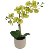 Greenmoods Kunstig Orkidé Real Touch i Keramikk Potte Grønn 60cm