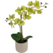 Greenmoods Kunstig Orkidé Real Touch i Keramikk Potte Grønn 60cm