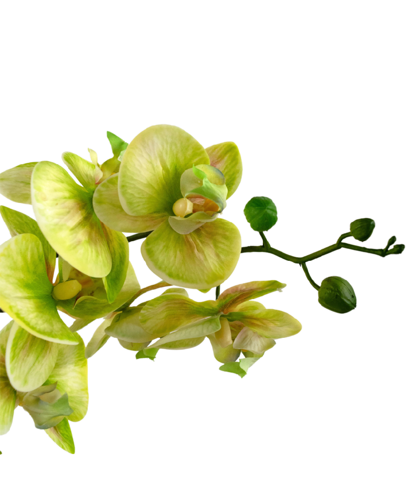 Greenmoods Kunstig Orkidé Real Touch i Keramikk Potte Grønn 60cm