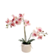 Greenmoods Kunstig Orkidé Real Touch i Keramikk Potte Rosa/Hvit 60cm