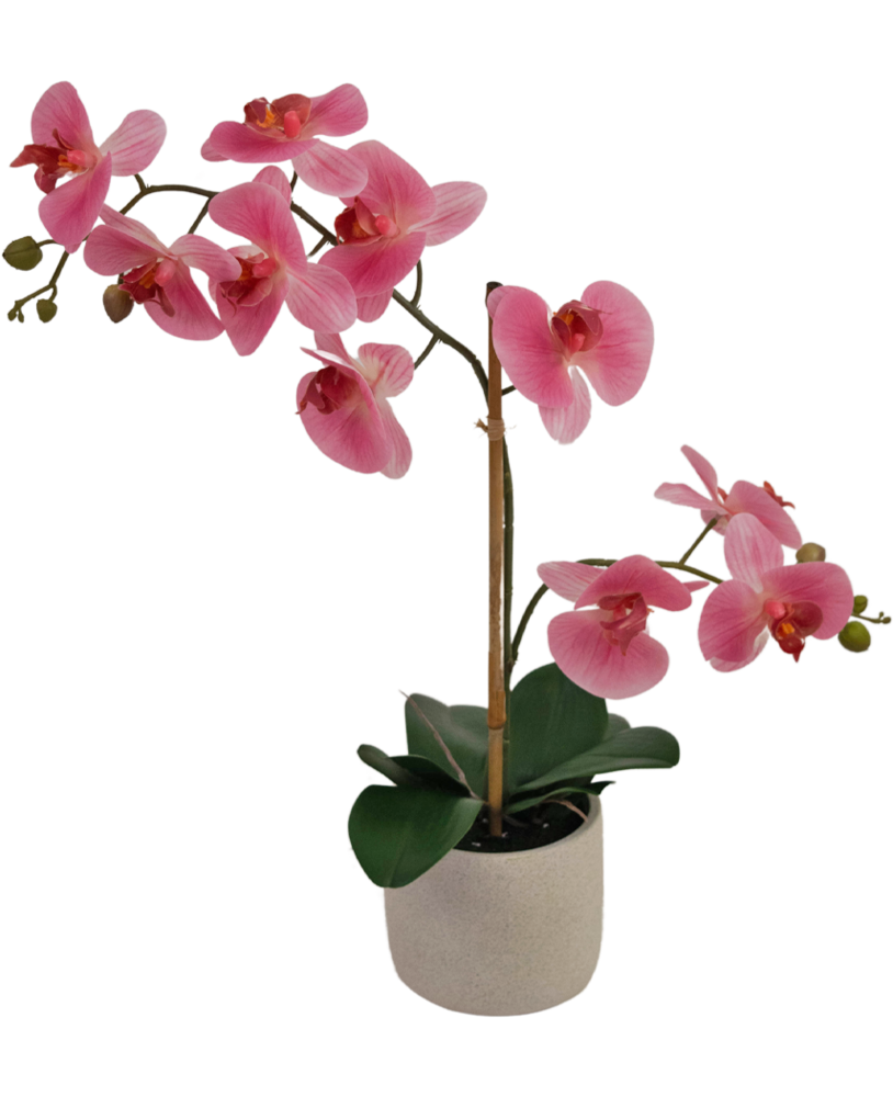 Greenmoods Kunstig Orkidé Real touch i Keramikk Potte Rosa 60cm