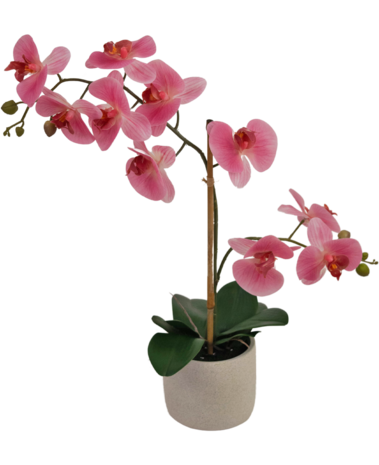 Greenmoods Kunstig Orkidé Real touch i Keramikk Potte Rosa 60cm
