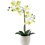 Greenmoods Kunstig Orkidé Real Touch i Keramikk Potte Lysgrønn 60cm
