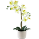 Greenmoods Kunstig Orkidé Real Touch i Keramikk Potte Lysgrønn 60cm Greenmoods Kunstig Orkidé Real Touch i Keramikk Potte Lysgrønn 60cm