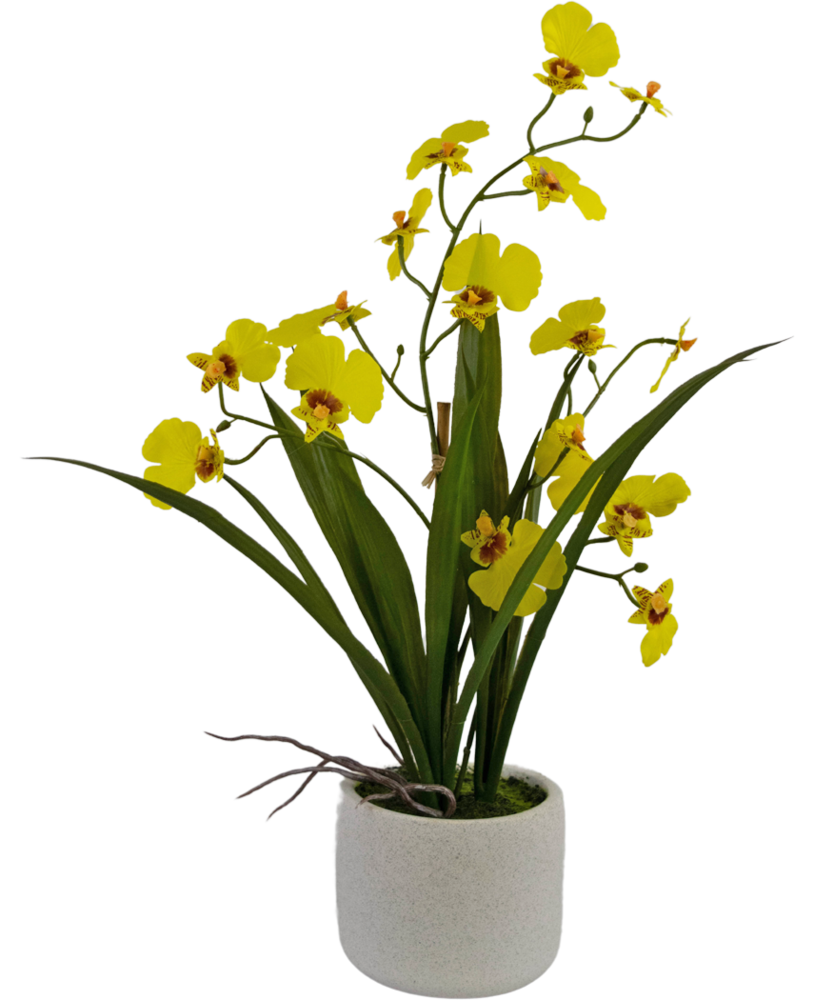 Greenmoods Kunstig Oncidium orkidé Real Touch Gul 48cm Greenmoods Kunstig Oncidium orkidé Real Touch Gul 48cm