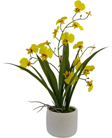 Greenmoods Kunstig Oncidium orkidé Real Touch Gul 48cm Greenmoods Kunstig Oncidium orkidé Real Touch Gul 48cm