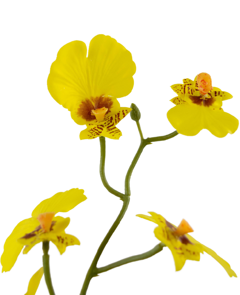 Greenmoods Kunstig Oncidium orkidé Real Touch Gul 48cm Greenmoods Kunstig Oncidium orkidé Real Touch Gul 48cm