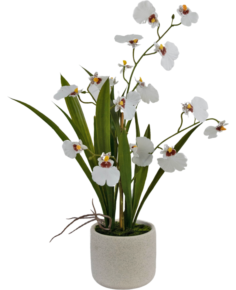 Greenmoods Kunstig Oncidium Orkidé Real Touch Hvit 48cm