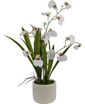 Greenmoods Kunstig Oncidium Orkidé Real Touch Hvit 48cm Greenmoods Kunstig Oncidium Orkidé Real Touch Hvit 48cm