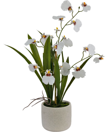 Greenmoods Kunstig Oncidium Orkidé Real Touch Hvit 48cm