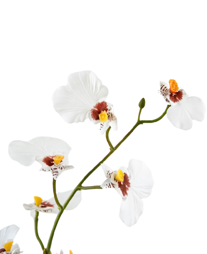 Greenmoods Kunstig Oncidium Orkidé Real Touch Hvit 48cm