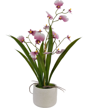 Greenmoods Kunstig Oncidium Orkidé Real Touch Rosa 48cm Greenmoods Kunstig Oncidium Orkidé Real Touch Rosa 48cm