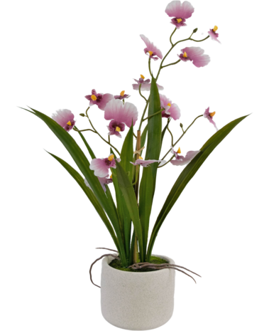 Greenmoods Kunstig Oncidium orkidé Real Touch Rosa 48cm Greenmoods Kunstig Oncidium orkidé Real Touch Rosa 48cm