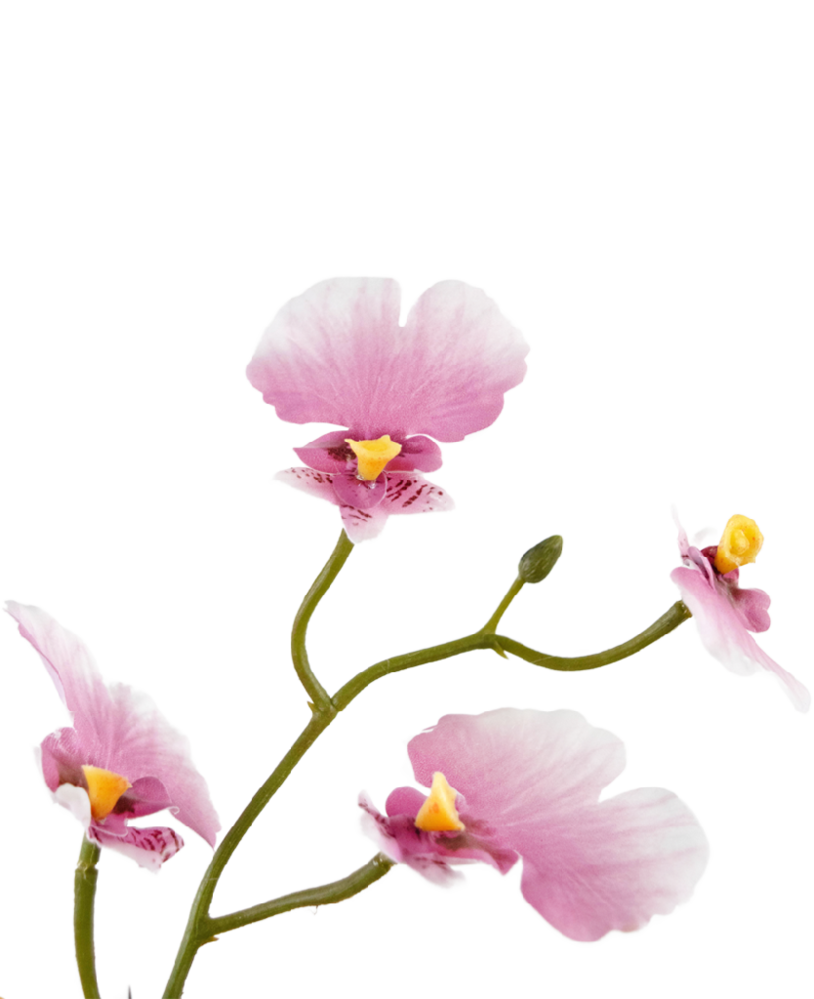 Greenmoods Kunstig Oncidium orkidé Real Touch Rosa 48cm Greenmoods Kunstig Oncidium orkidé Real Touch Rosa 48cm