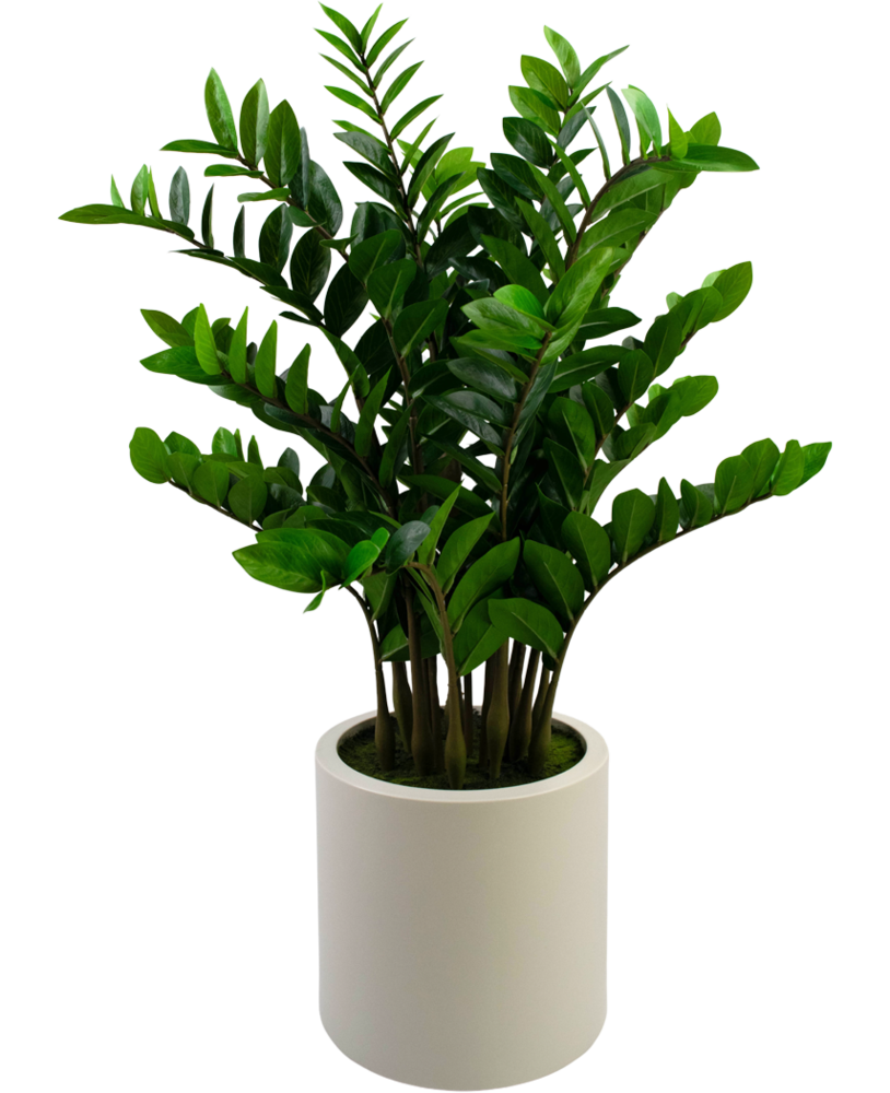 Greenmoods Kunstig Zamioculcas i Beige Krukke 120cm Greenmoods Kunstig Zamioculcas i Beige Krukke 120cm