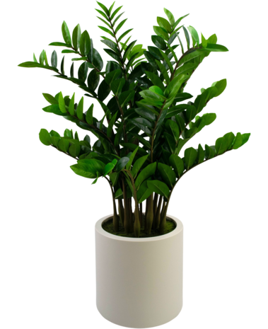 Greenmoods Kunstig Zamioculcas i Beige Krukke 120cm Greenmoods Kunstig Zamioculcas i Beige Krukke 120cm