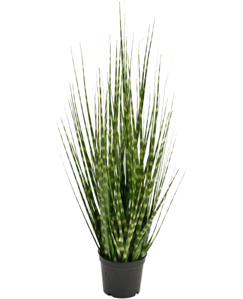 Greenmoods Kunstig Sebra Gress 56cm Brannsikker