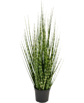 Greenmoods Kunstig Sebra Gress 56cm Greenmoods Kunstig Sebra Gress 56cm