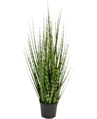 Greenmoods Kunstig Sebra Gress 56cm Brannsikker