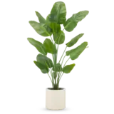 Greenmoods Kunstig plante Strelitzia Real Touch ferdiglaget i beige potte 180 cm