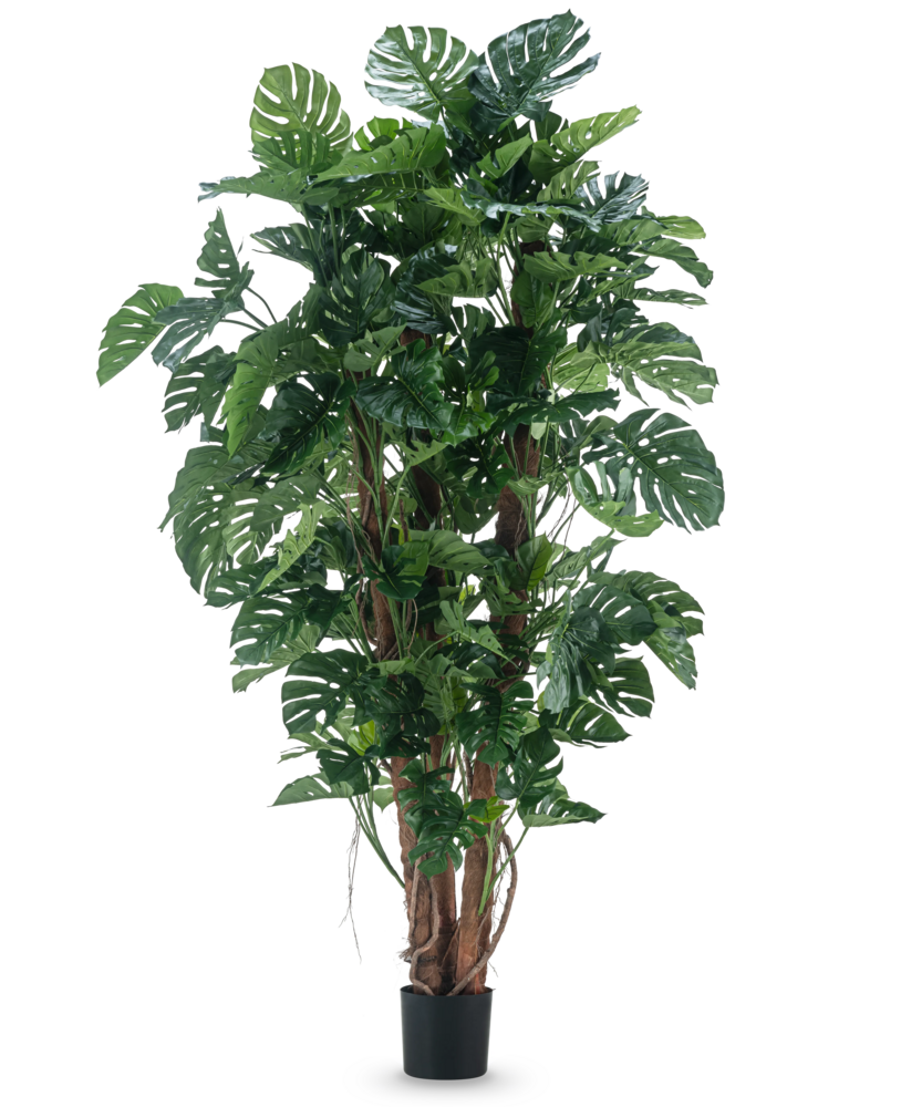 Greenmoods Kunstig Monstera Gigant 260 cm