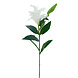 Greenmoods Kunstig blomst Lily Real Touch hvit 95 cm